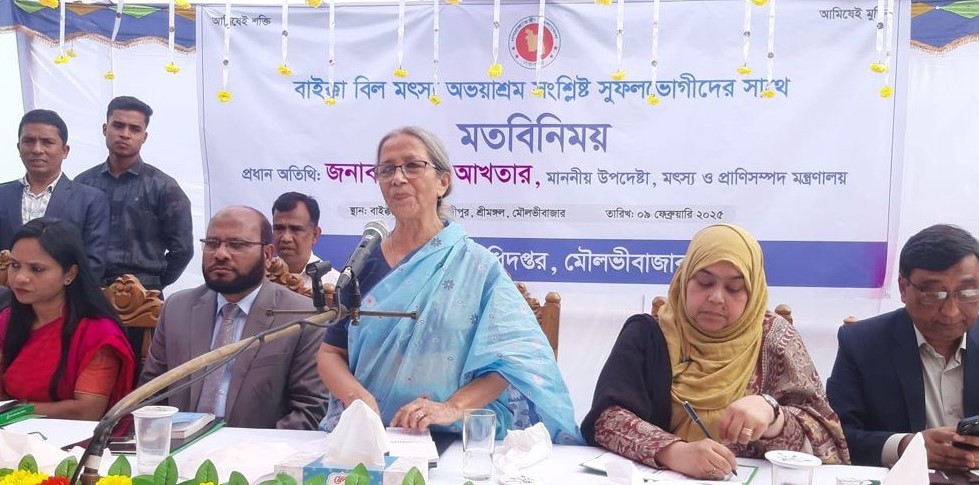 হাওর রক্ষায় কীটনাশক ব্যবহার নিয়ন্ত্রণ করতে হবে: উপদেষ্টা