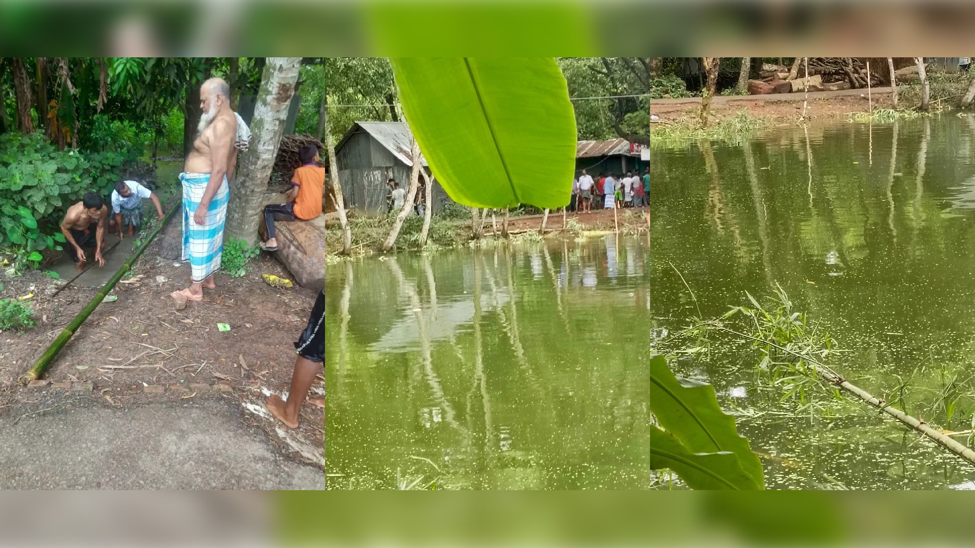 পাচথুবিতে মেম্বার ইয়াসমিনের পুকুর দখল করে মাছ লুট করার হুমকি